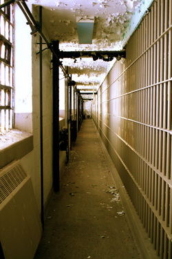 Los Angeles Criminal Defense Lawyer