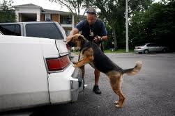 LA Unlawful Search and Seizure Attorney